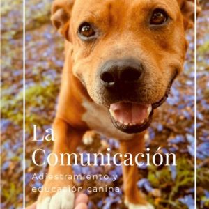 La Comunicación, Adiestramiento y educación canina